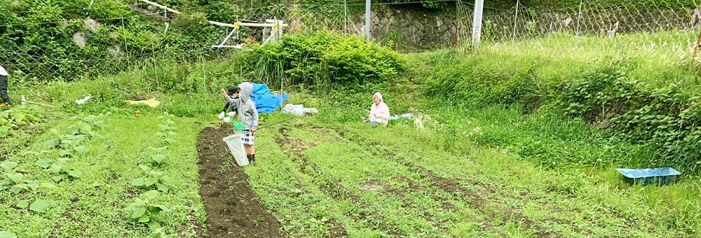 畑レンタルの画像です